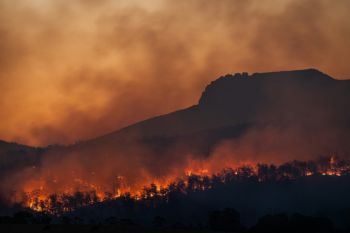 Paysage méditerranéen en feu lors de la canicule européenne d'août 2025, températures extrêmes dépassant 45°C